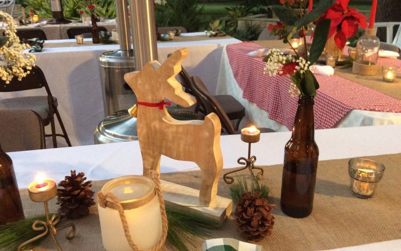 December 2015 Newsletter