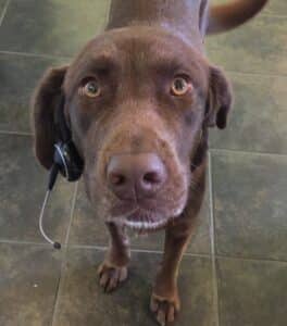 Athena on the phone
