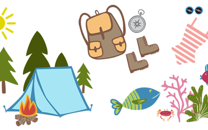 Staff Favorite Summer Activities
