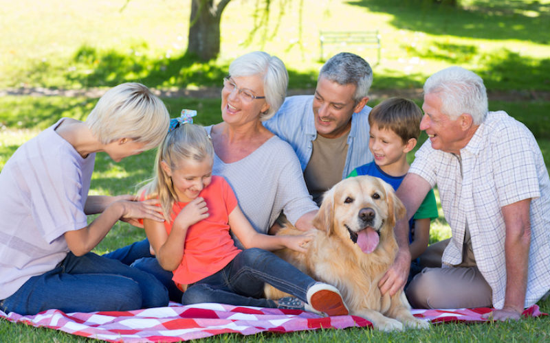 Are You A Family Steward