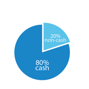 Pie chart showing 80% cash and 20% non-cash donations.