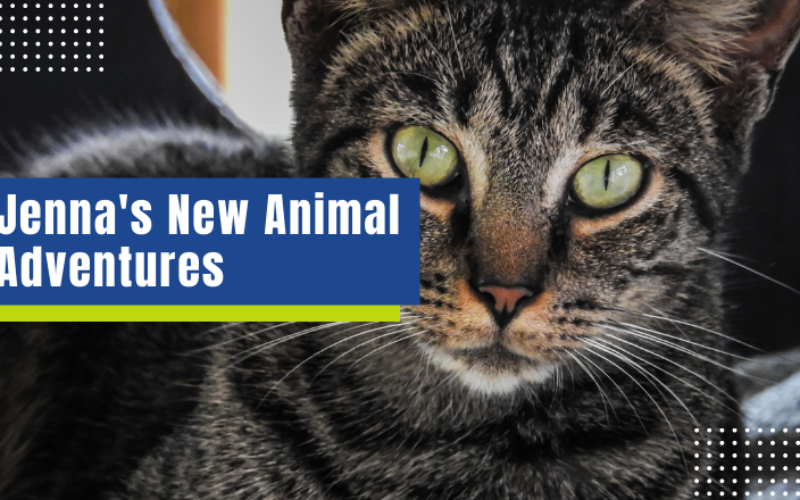 Jenna’s New Animal Adventures